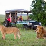 Luxury Safari Tourism Market Demand Analysis: 2022, Growth Perspectives, Development Strategies, Regional ...