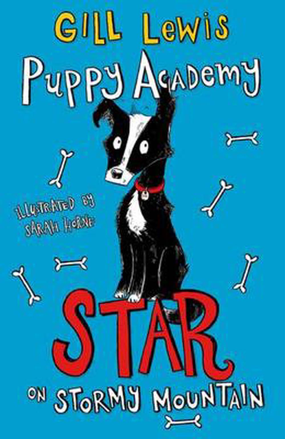 Puppy Academy: Star on Stormy Mountain - Gill Lewis