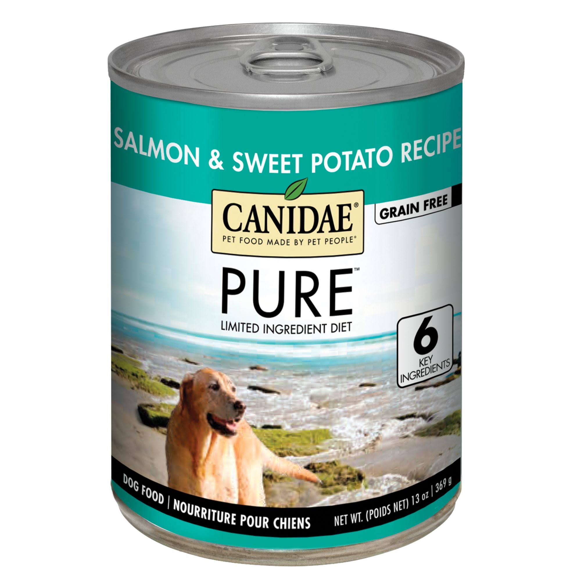 Canidae Grain Free Salmon & Sweet Potato Recipe Pate Dog Food - 13 oz
