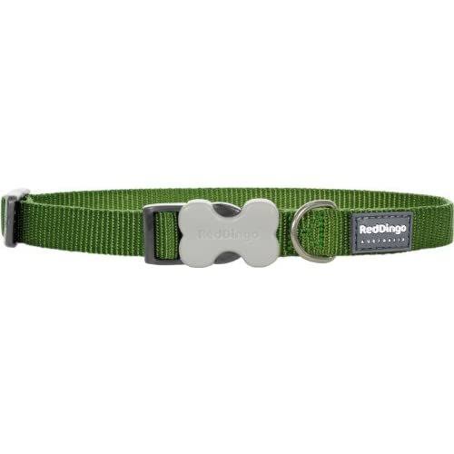 Red Dingo Classic Dog Collar - Green, 15mm x 24-37cm