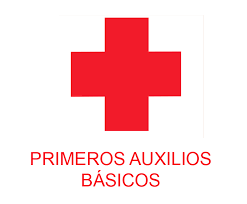 Cómo actuar ante un accidente sin ninguna noción de socorrismo Cómo actuar ante un accidente sin ninguna noción de socorrismo
